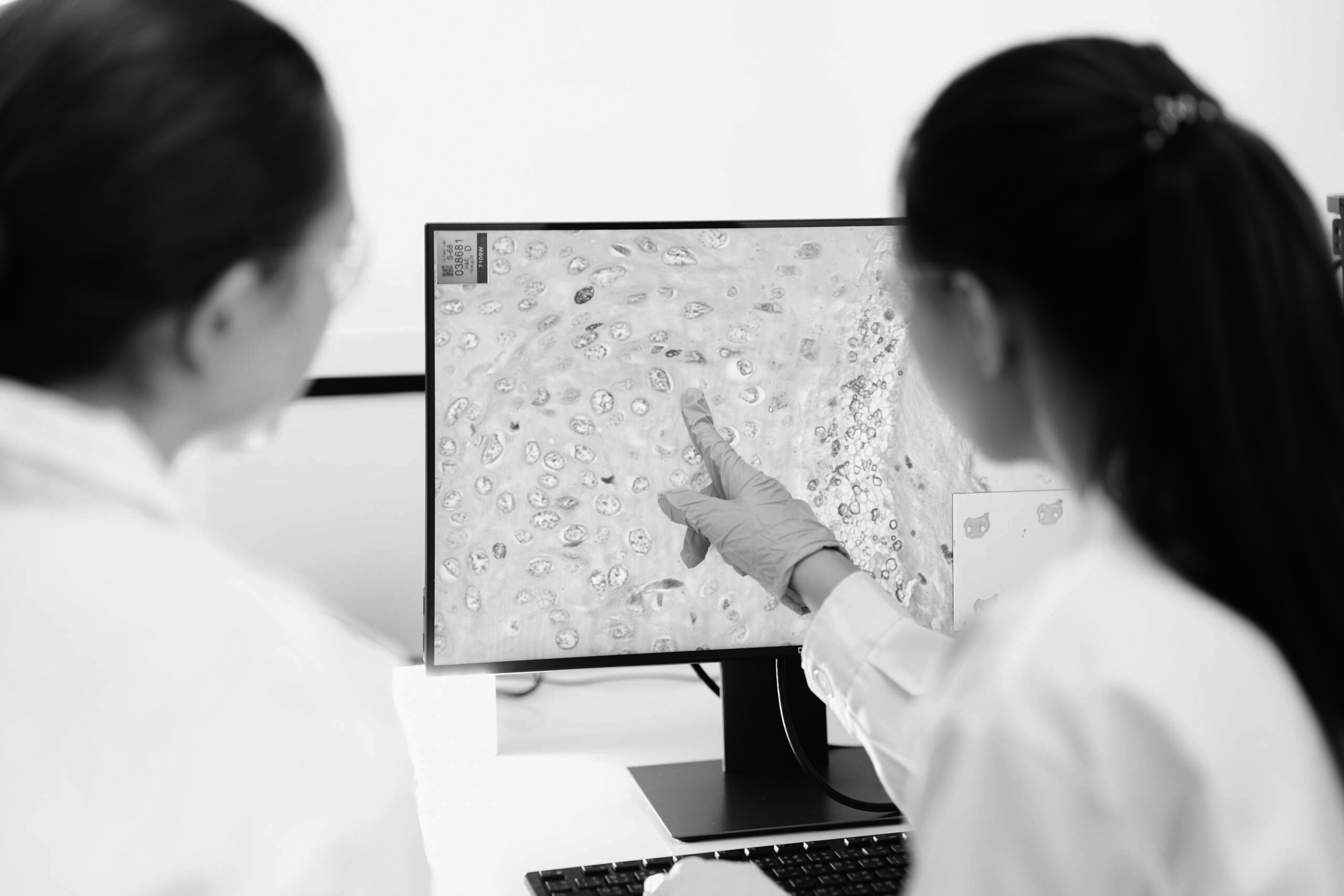 tema_therapeutics_lab